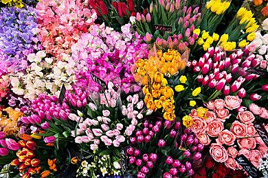 《上古卷轴4》《辐射3》等B社游戏复刻版泄露 《毁灭战士》《耻辱》等系列有新作